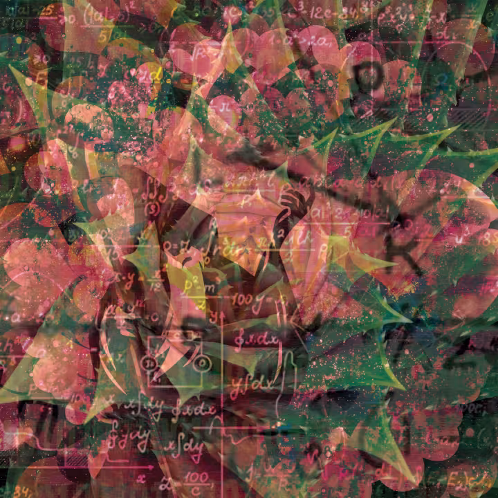 "What Is Baffling The Mathematician?" PS Perkins 2022 (digital collage)